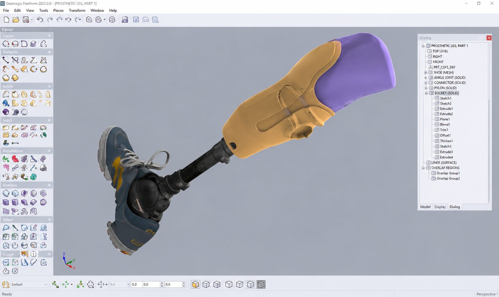 Conception numérique d’une prothèse de jambe personnalisée en 3D avec Geomagic Freeform.